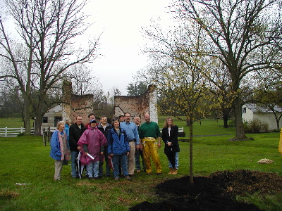 photo of tree planting