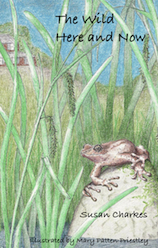 The Wild Here and Now book cover